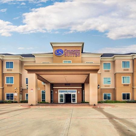 Comfort Suites Fort Worth South Bagian luar foto